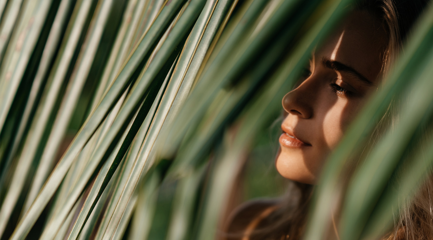 Asset - The Dental - 2